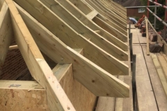 Timber Frame Extension